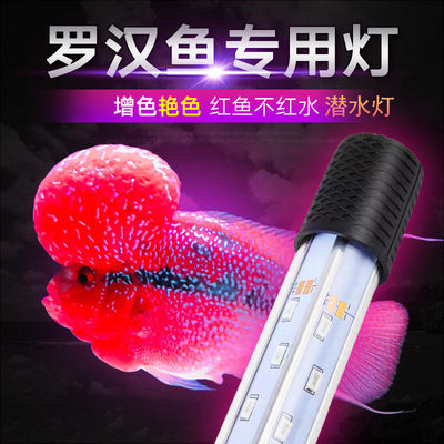 热带鱼罗汉鱼专用led鹦鹉增色