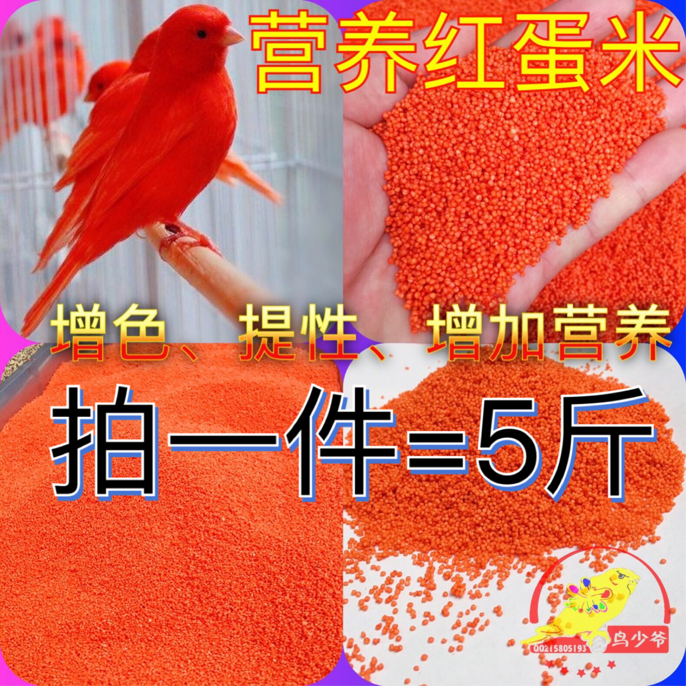 金丝雀玉鸟红色素斤装包邮鸡蛋米