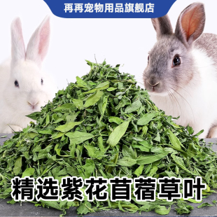 25年新紫花苜蓿草干草纯叶子兔子龙猫荷兰猪粮食饲料毛重1kg 包邮