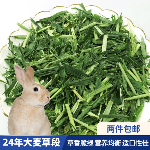 再再大麦草段兔兔爱吃健康不挑嘴