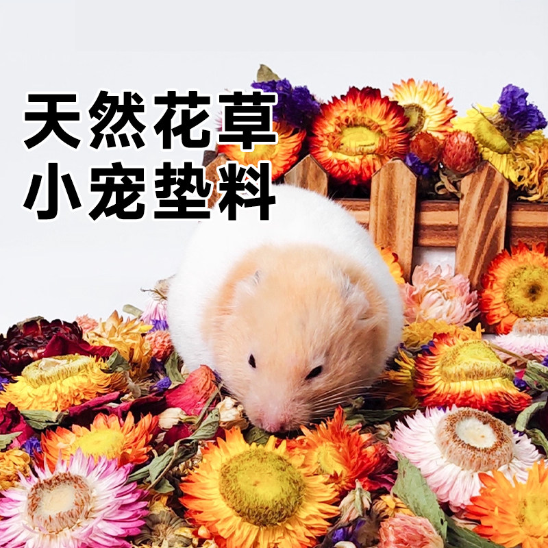 仓鼠花草垫料金丝熊冬季天除臭专用可食用干花草造景装饰用品木屑,宠物/宠物食品及用品,垫料,淘宝优惠券,粉丝福利购,淘宝优惠卷