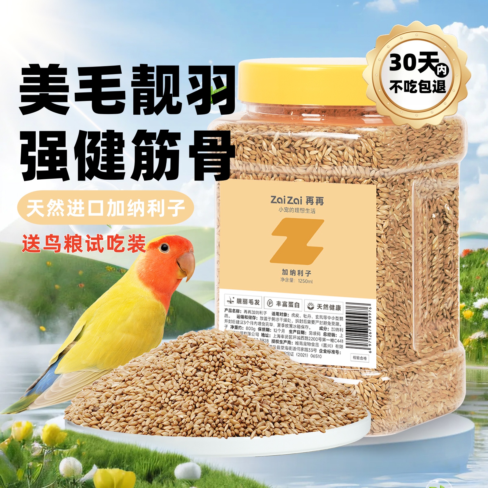 进口加纳利子颗粒饱满色泽透亮