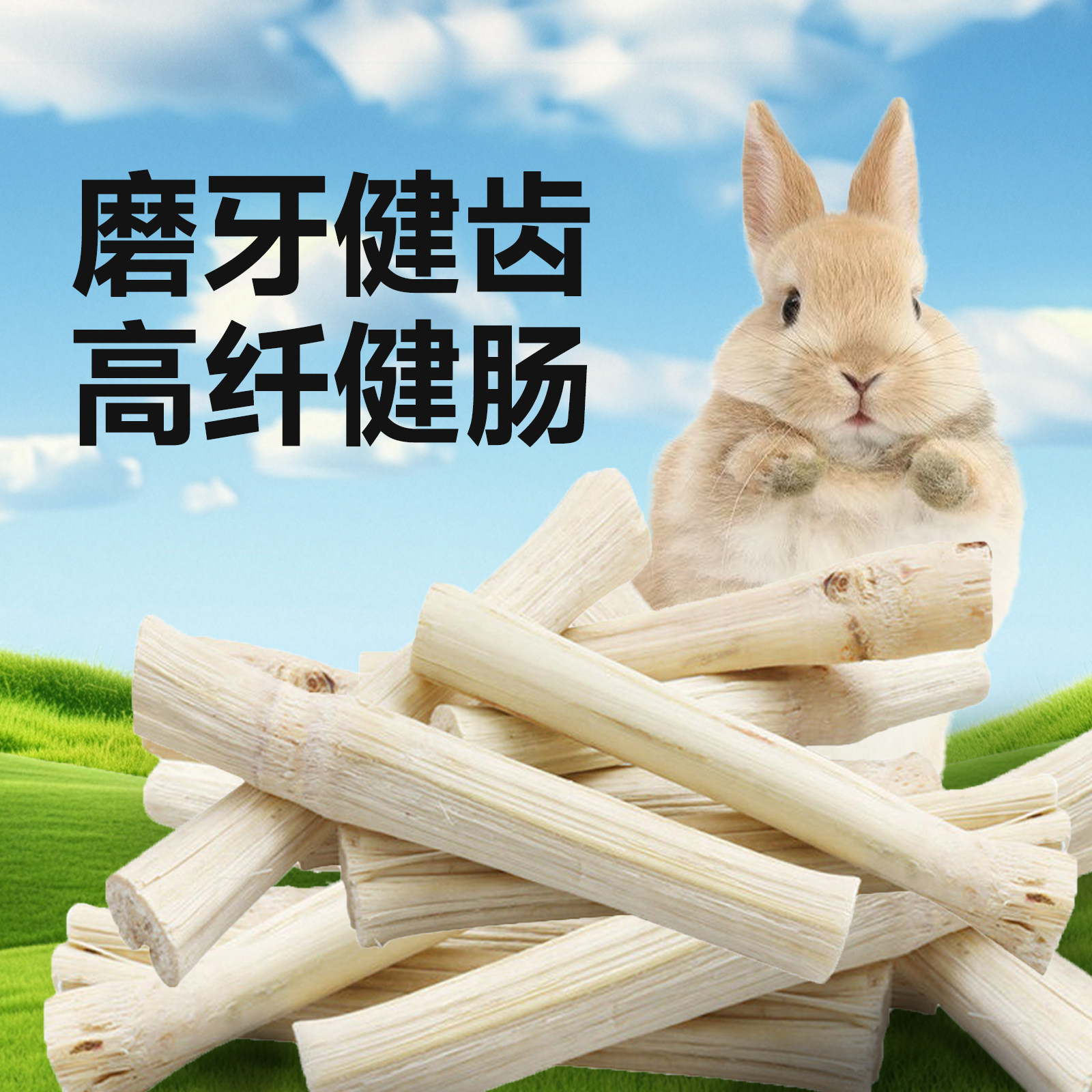 再再兔子甜竹枝磨牙棒健齿高纤维兔兔零食龙猫荷兰猪豚鼠磨牙玩具