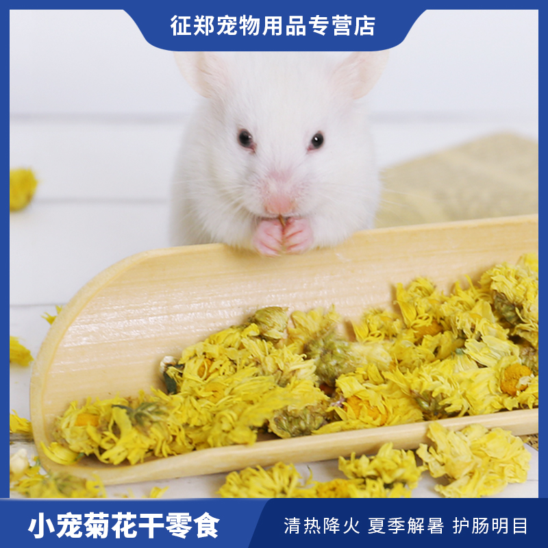 仓鼠粮食清热解暑降火野菊花干去火零食金丝熊龙猫豚鼠用品20g