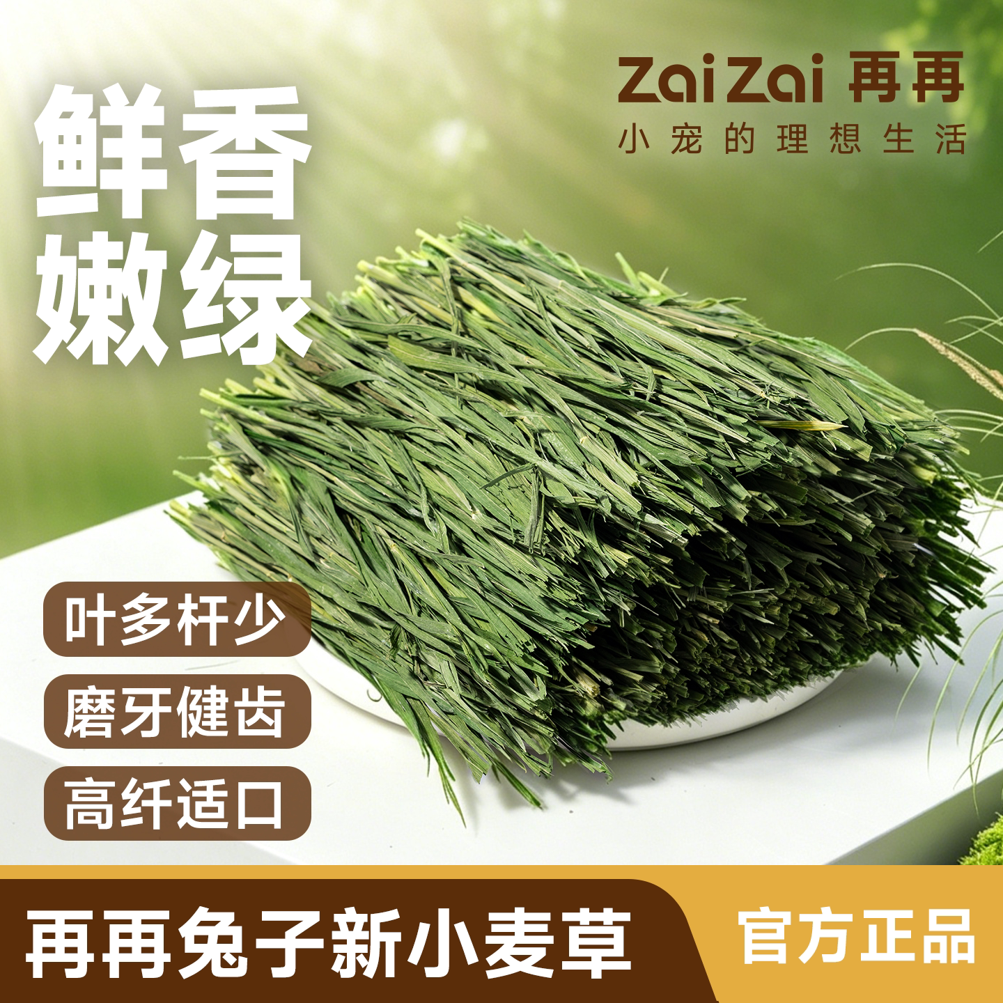 再再烘干小麦草干草营养满格图片