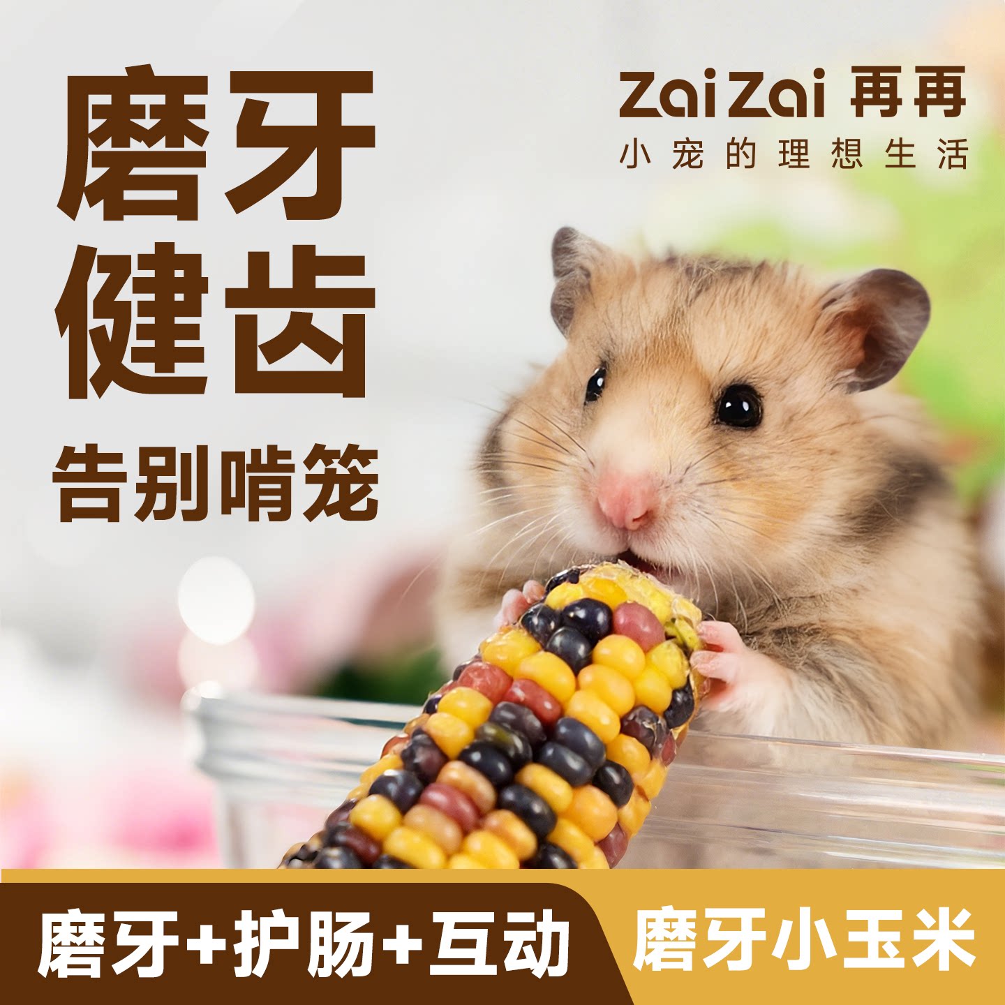 再再仓鼠小玉米棒磨牙零食图片