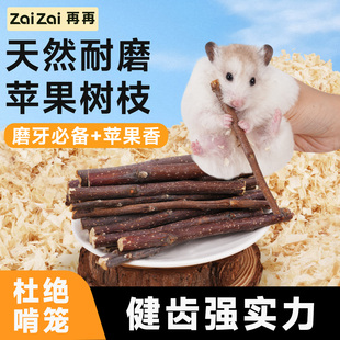 再再仓鼠磨牙耐磨棒龙猫兔子新鲜苹果枝宠物口腔可食用零食专用Z
