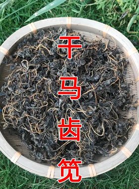 2025新马齿苋菜干马齿苋干菜麻菜干野生马齿菜长寿菜蚂蚱菜马蜂菜