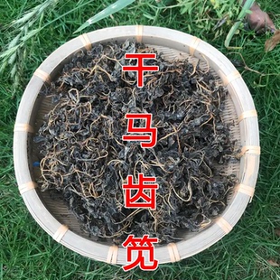 2025新马齿苋菜干马齿苋干菜麻菜干野生马齿菜长寿菜蚂蚱菜马蜂菜