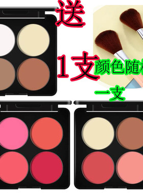 玫红色彩妆盘阴影组合舞台修容粉