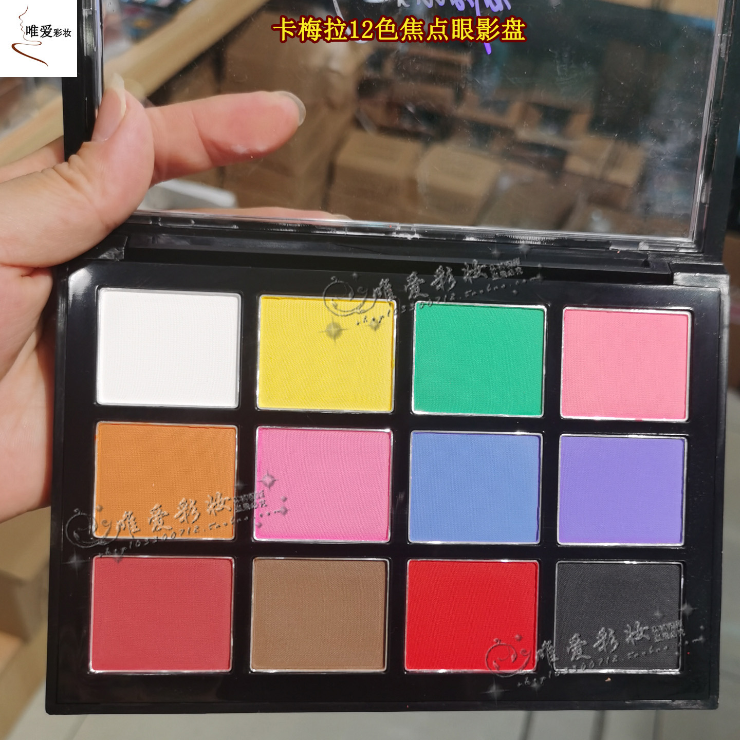 舞台妆化妆师学生彩色眼影盘12色