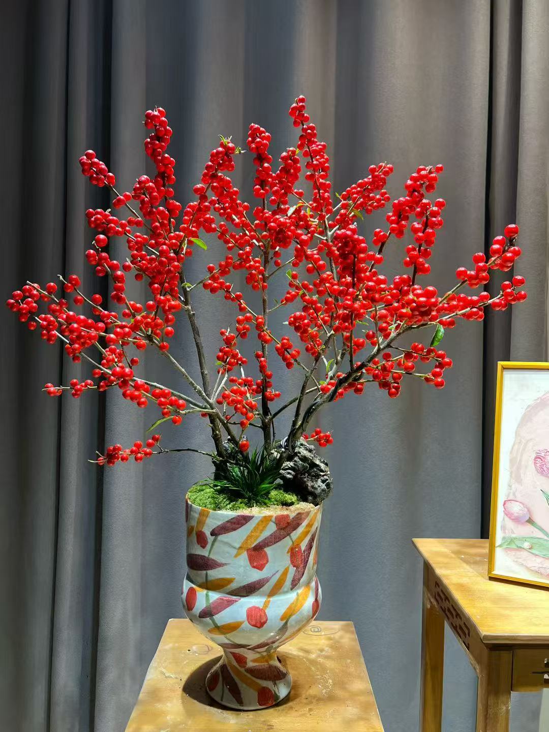 厦门花店冬青盆栽绿植搬家乔迁开业同城鲜花速递