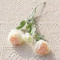 1 цвет шампанского (лилиан)