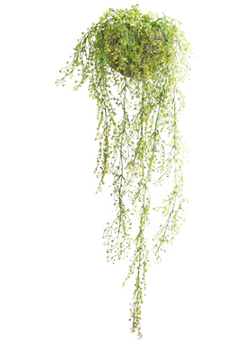 仿真垂吊花藤绿植墙面壁挂金钟柳