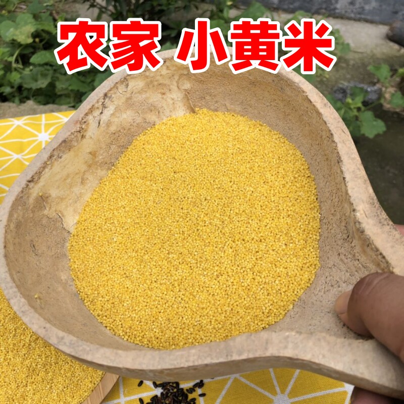 山东沂蒙山农家小黄米月子米谷子小米