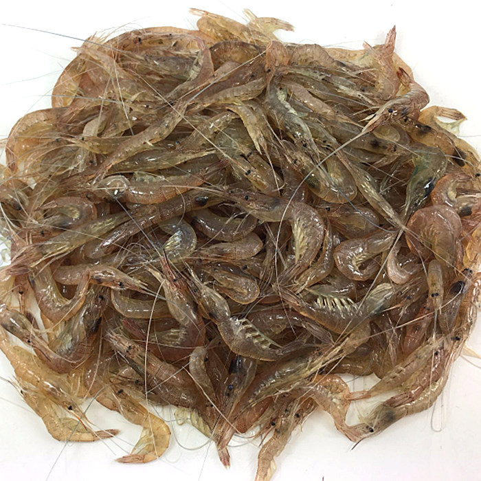 淡水长爪小河虾酒店商用饲养均可