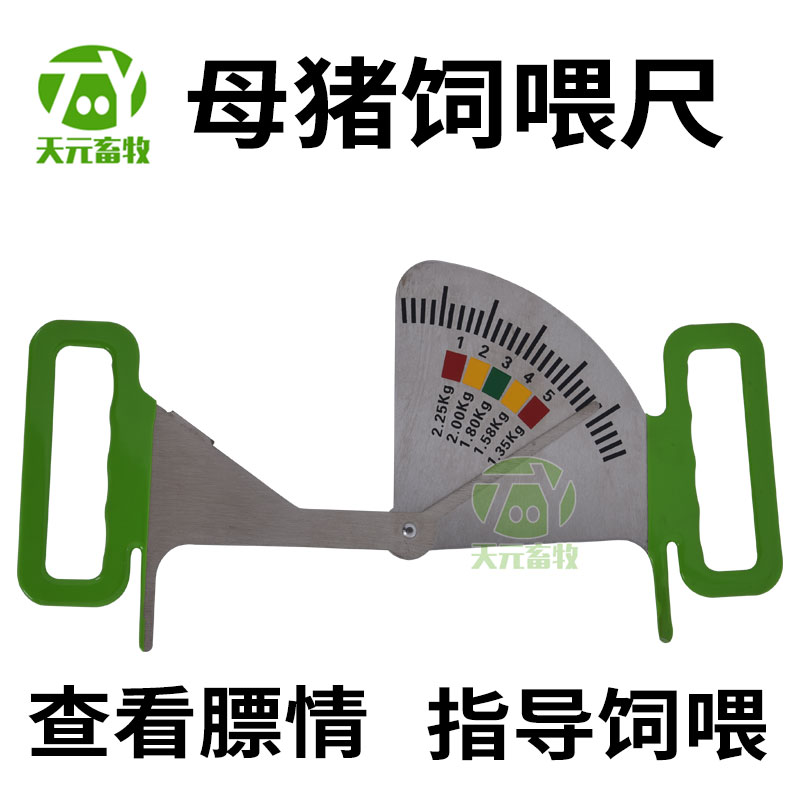 母猪背膘尺不锈钢饲喂管理尺猪用膘情测定尺猪用卡尺一套