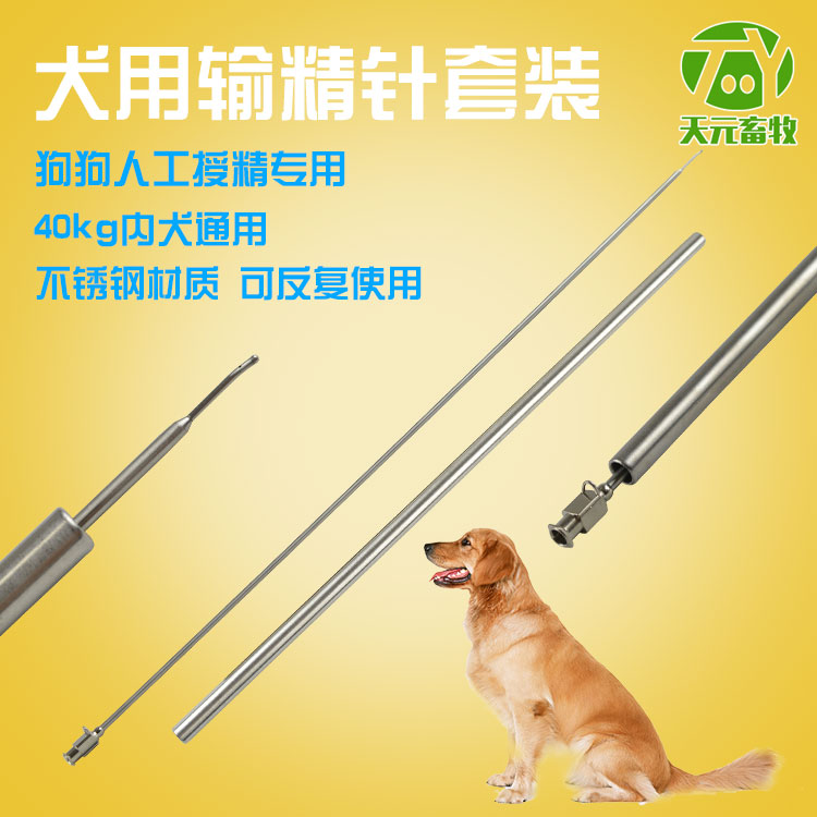 大型犬输精针 不锈钢输精针 金毛藏獒 狗用输精针套装外套管可选