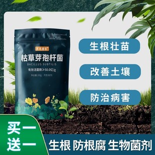 枯草芽孢菌杆菌微生物菌剂水溶肥有机肥兰花月季桂花专用生根壮苗