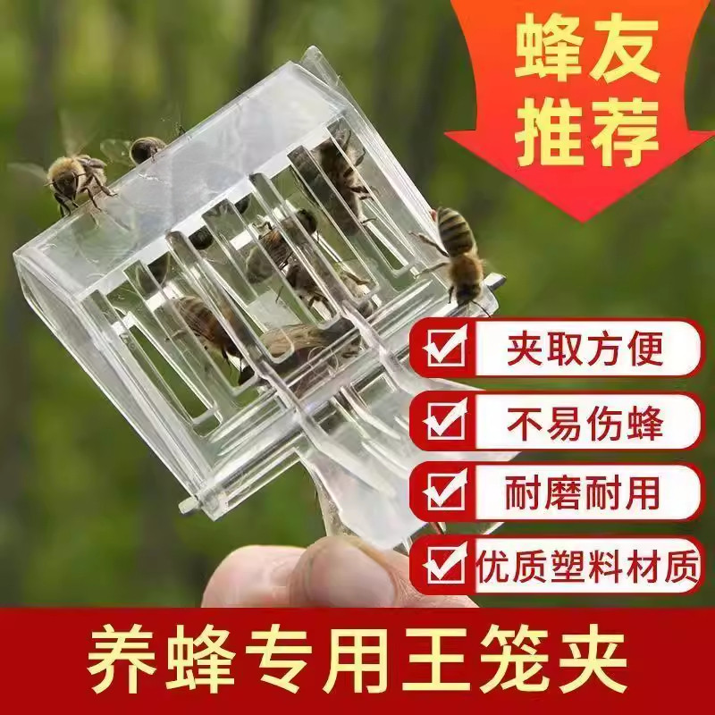 养蜂专用工具塑料王笼蜂王夹子塑料囚王笼夹子书夹式王笼蜜蜂用具