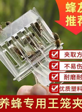 养蜂专用工具塑料王笼蜂王夹子塑料囚王笼夹子书夹式王笼蜜蜂用具