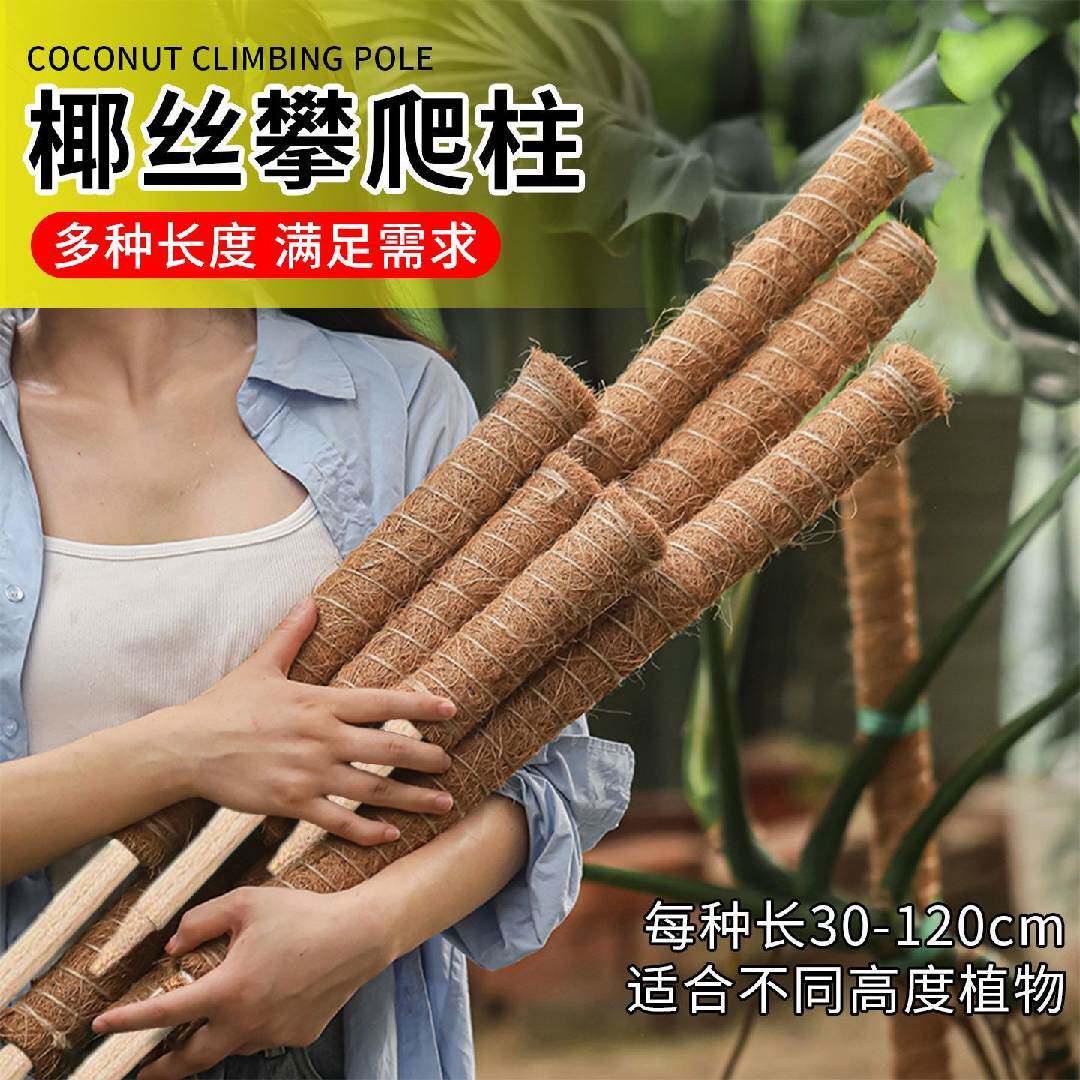 椰棕棒龟背竹绿萝攀爬柱图片