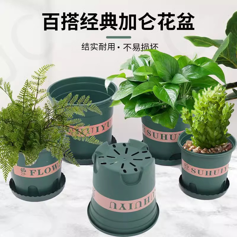 加仑盆控根树脂月季绿萝君子兰阳