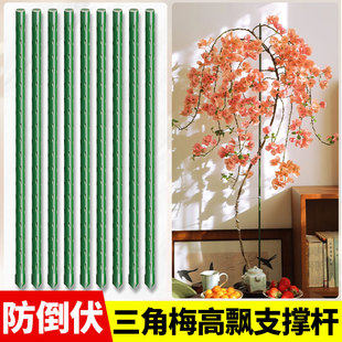 三角梅高飘支撑杆月季爬藤架子花架固定器绿植物防倒伏花卉支撑架