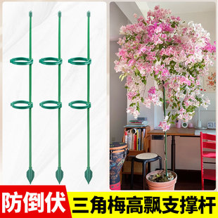 三角梅高飘支撑杆爬藤架花架固定器龟背竹绿植物防倒伏花卉支撑架