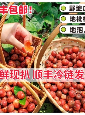 广东精选野地瓜新鲜现扒野生地枇杷当季美味地石榴水果儿时的记忆