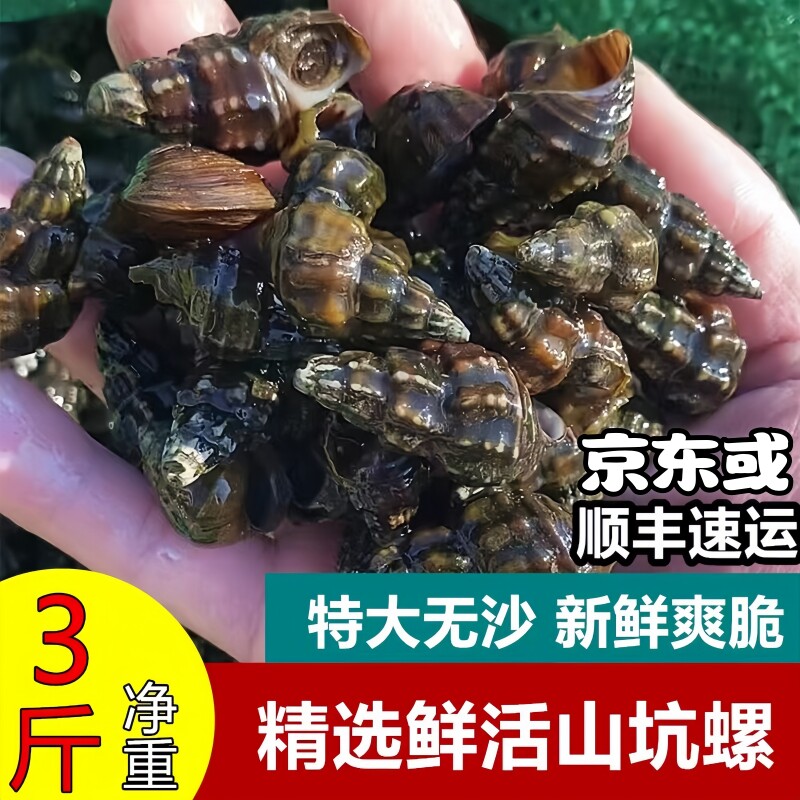 粤北纯野生山坑螺3斤溪水花螺美味扭螺石螺新鲜现捞包活鲜甜爽口