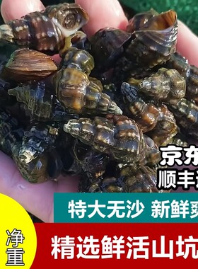 正宗溪水山坑螺美味花螺夜宵螺蛳
