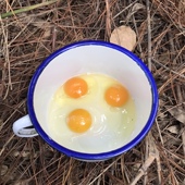 安徽农家散养无饲料稻谷喂养新鲜草柴本土鸡蛋50枚新鲜纯粮蛋顺丰