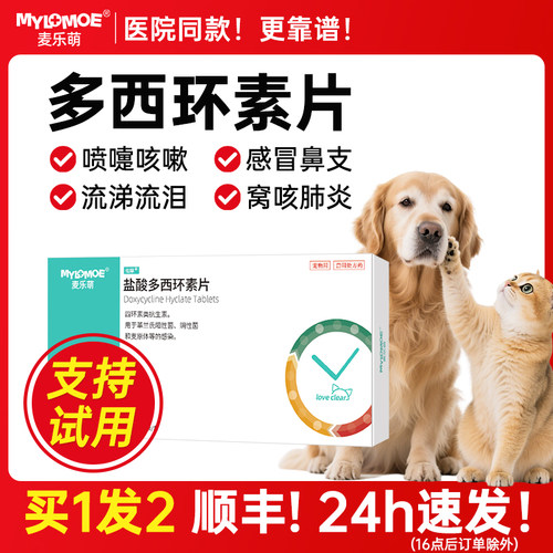 狗感冒多西环素咳嗽打喷嚏犬窝咳