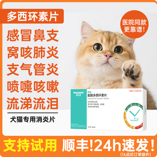 盐酸多西环素片鼻支猫咪用狗狗感冒药宠物打喷嚏流鼻涕消炎犬窝咳