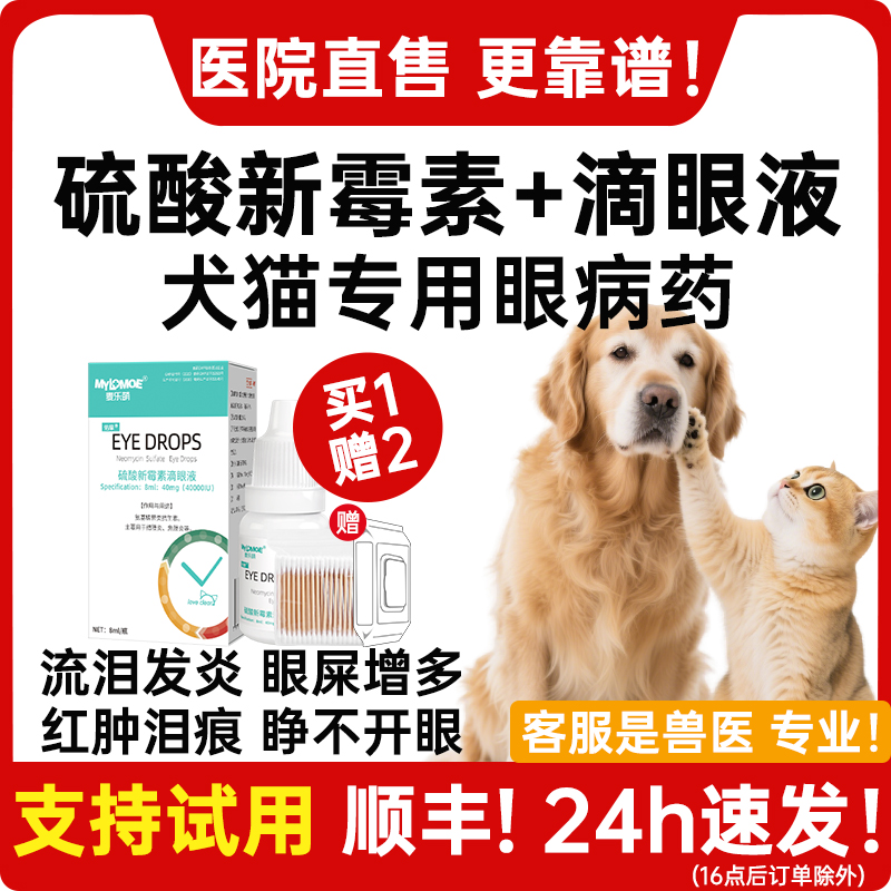 眼药水猫咪发炎流泪鼻支狗狗