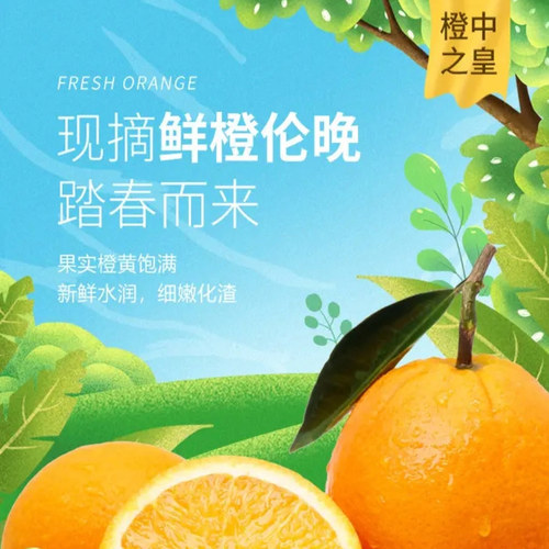 伦晚脐橙  新鲜水果 花果同树 现采 4.5/ 9斤装 好伦晚 秭归产
