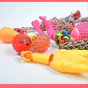 Dog toy vocal bóng Teddy luật chiến đấu chó vui Teddy chó mol chó chó mèo trẻ răng hàm cắn vật nuôi - Mèo / Chó Đồ chơi