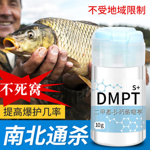 谷道香DMPT鱼饵诱鱼剂添加剂神经诱导素饵料野钓鲫鱼鲤鱼草鱼