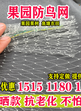 防鸟网草莓大棚果树樱桃葡萄梨树果园防鸟用网尼龙养殖网鱼塘天网
