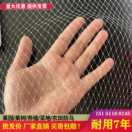 防鸟网草莓大棚果树樱桃葡萄梨树果园防鸟用网尼龙养殖网鱼塘天网