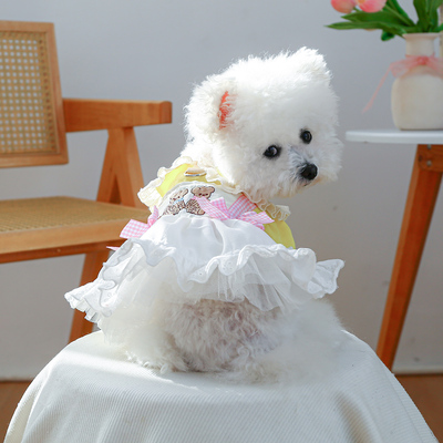 小狗衣服泰迪比熊博美幼犬猫咪专用春夏季甜美可爱小熊舞曲蓬蓬裙