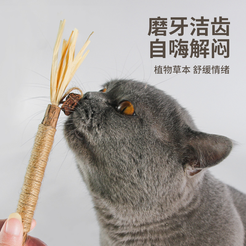猫咪磨牙棒猫玩具木天蓼逗猫棒