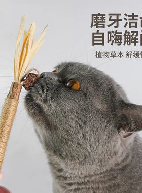猫咪磨牙棒猫玩具木天蓼逗猫棒猫咪玩具自嗨解闷小猫用品幼猫专用