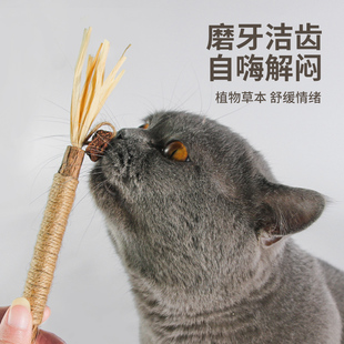 猫咪磨牙棒猫玩具木天蓼逗猫棒猫咪玩具自嗨解闷小猫用品幼猫专用