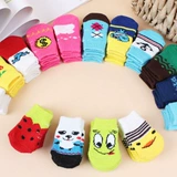 Собаки и собачьи носки против песен