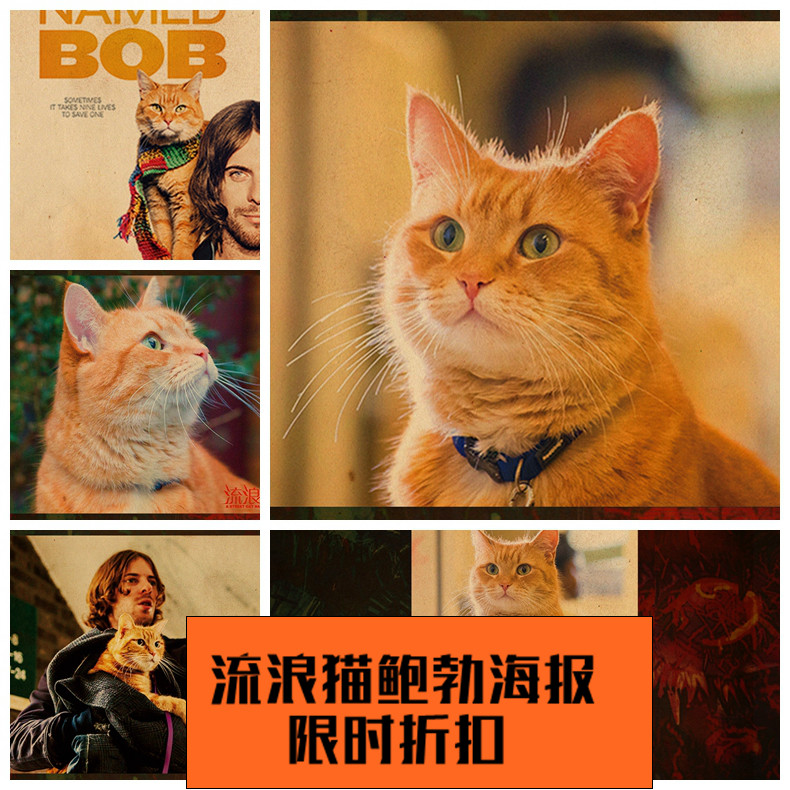 流浪猫鲍勃海报  街角遇见猫英国电影桔猫壁纸墙贴宠物牛皮纸挂画