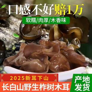 东北特级野生柞木黑木耳干货500g 长白山椴木秋木耳 软糯肉厚木香