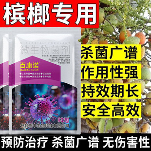 槟榔烂心病专用药槟榔杀菌剂槟榔病通用芽腐病黄叶病根腐病炭疽病