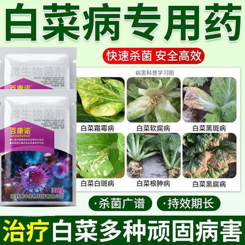 白菜霜霉叶斑白菜烂根腐烂杀菌剂软腐病专用药白菜防腐防烂药白菜